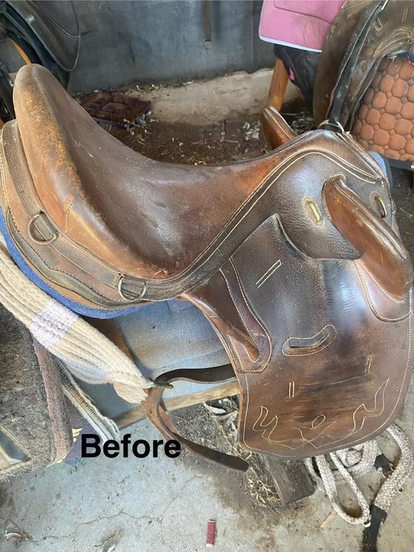 Kiara's 50-year-old saddle before BEST Leather Care