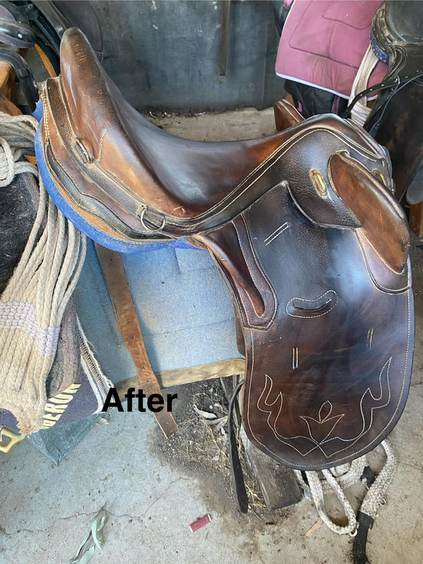 Kiara's 50-year-old saddle after BEST Leather Care
