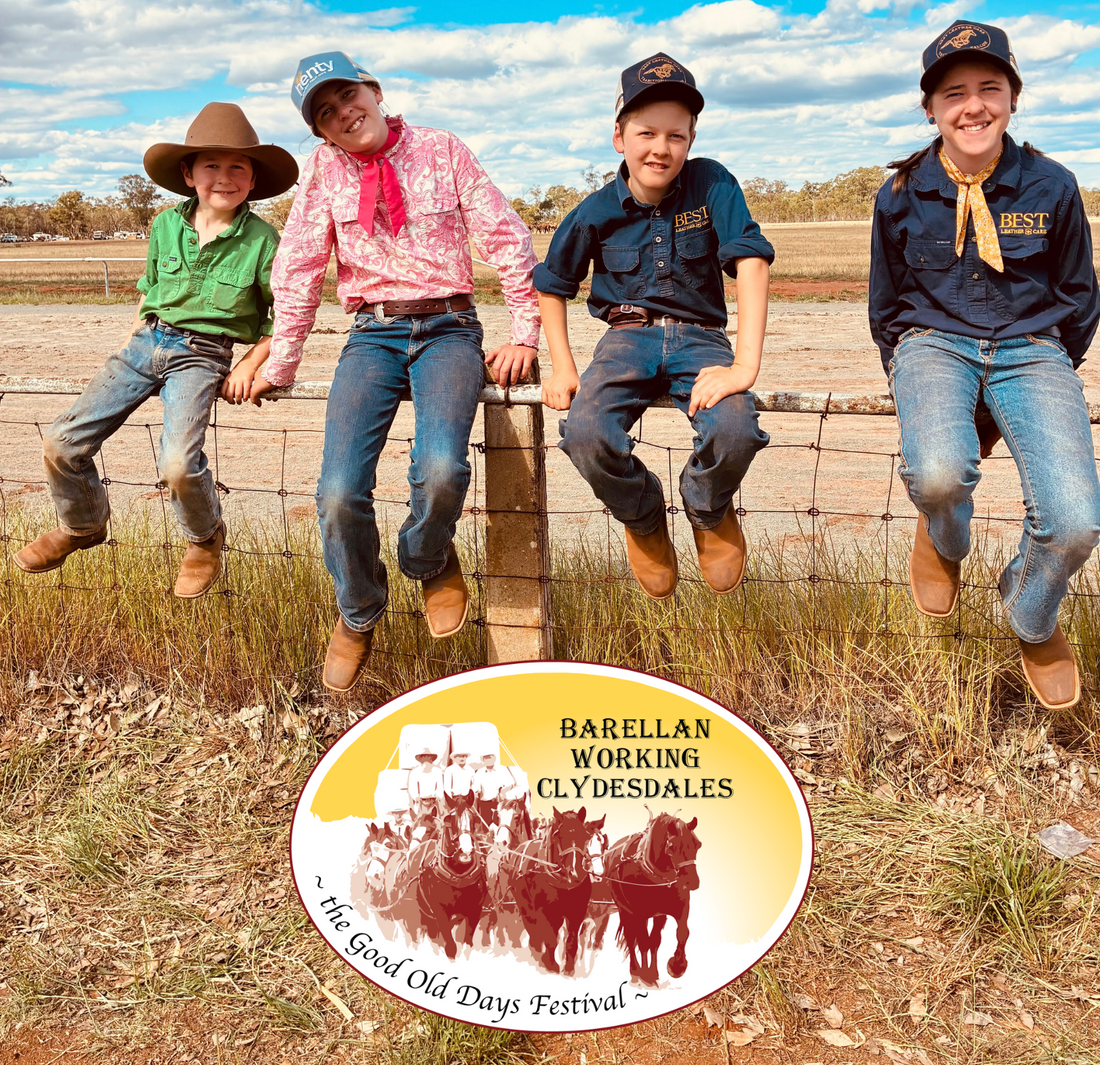52 Bullocks & a Night Away from the Pilliga